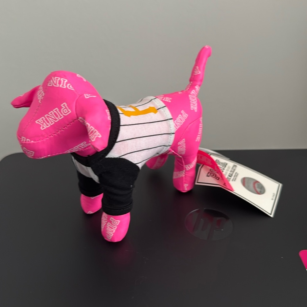 PINK Pittsburgh Pirates Dog